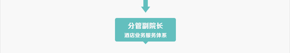 分管副院長酒店業(yè)務(wù)服務(wù)體系