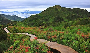 大圍山七星嶺木棧道實景圖